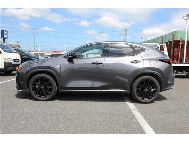 Lexus NX 12