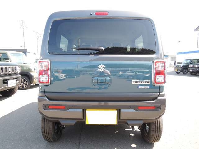 Suzuki Hustler 6