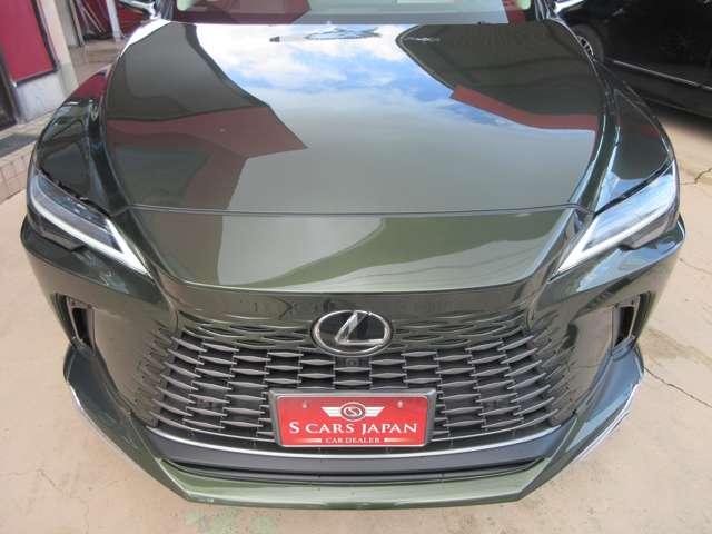 Lexus RX 11