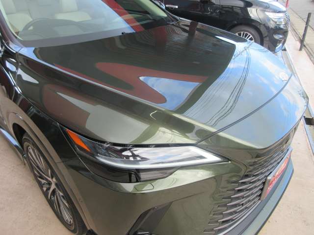 Lexus RX 12