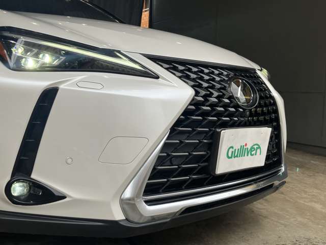 Lexus UX 8