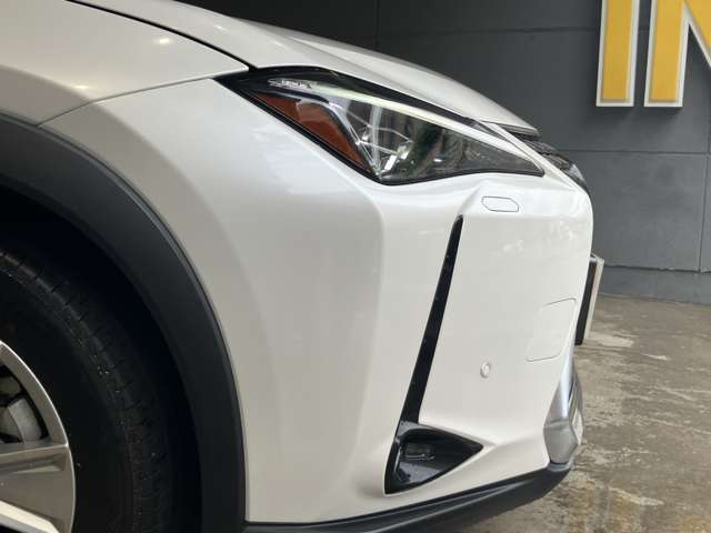 Lexus UX 9