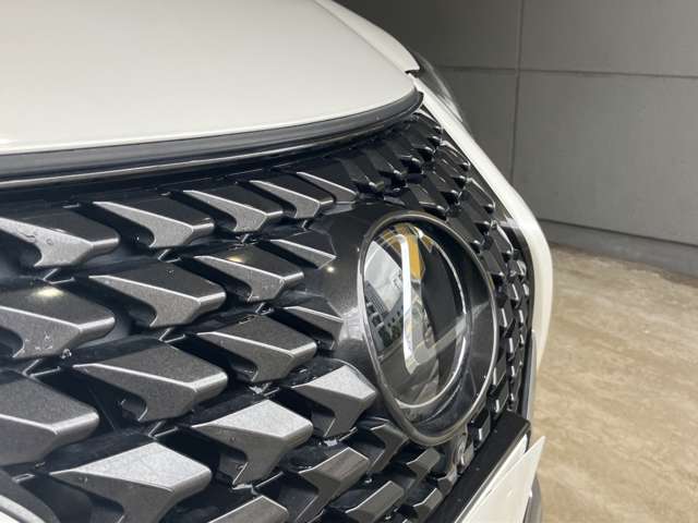 Lexus UX 10