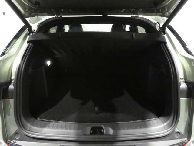 BYD BYD ATTO 3 9