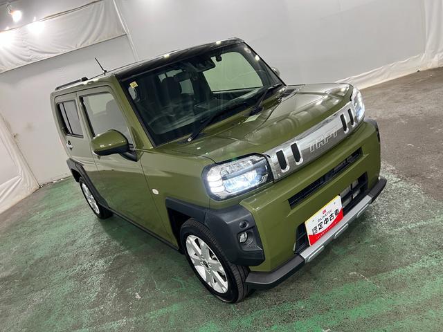 Daihatsu Taft 9