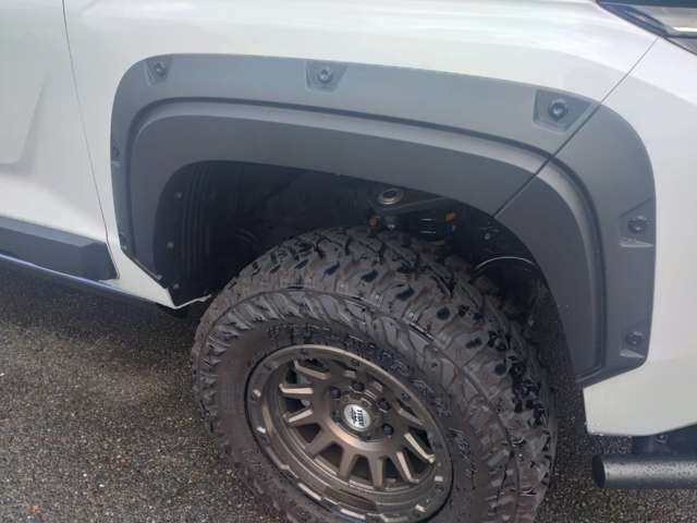 Mitsubishi Triton 12