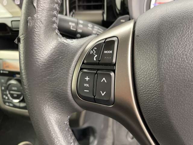 Suzuki Hustler 11