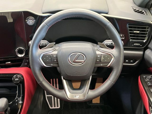 Lexus NX 11