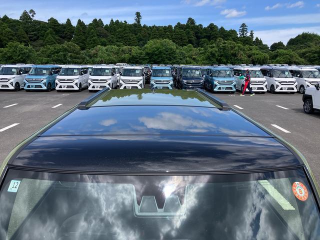 Daihatsu Taft 6