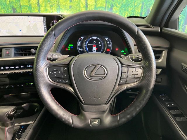 Lexus UX 11