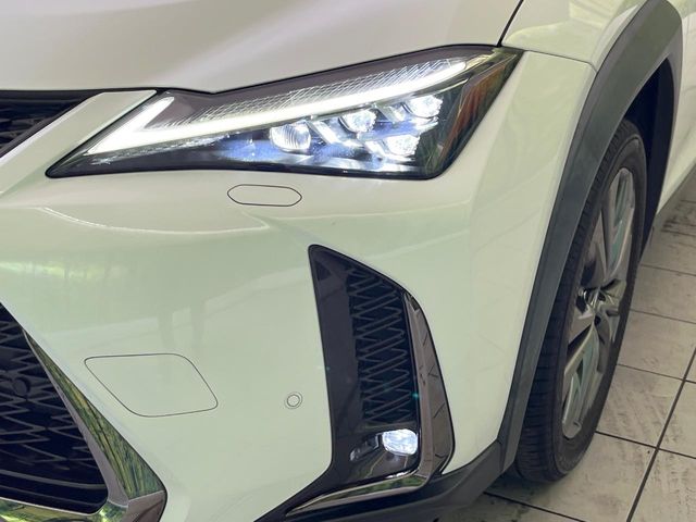 Lexus UX 12