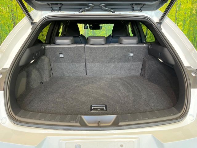 Lexus UX 10