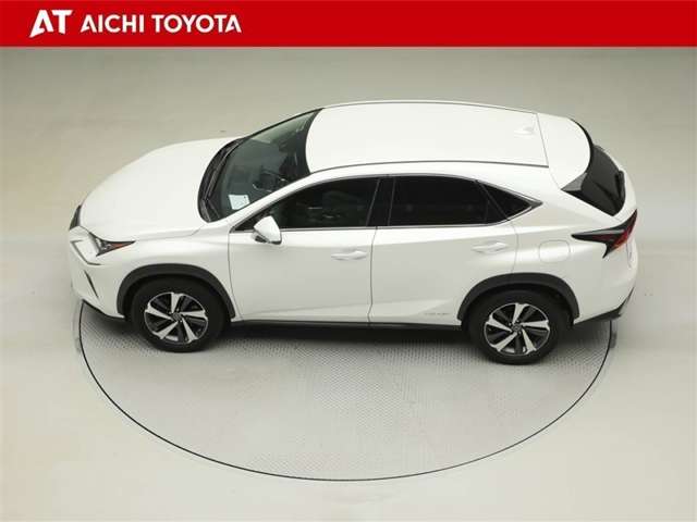 Lexus NX 11