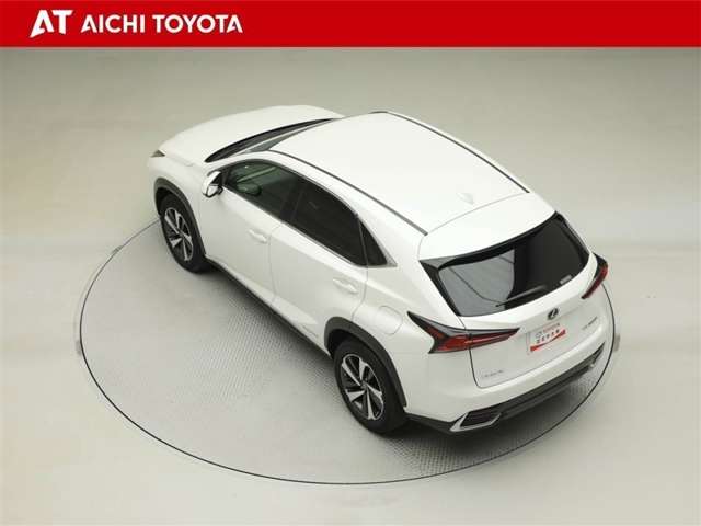 Lexus NX 12