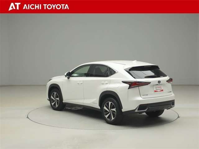 Lexus NX 4