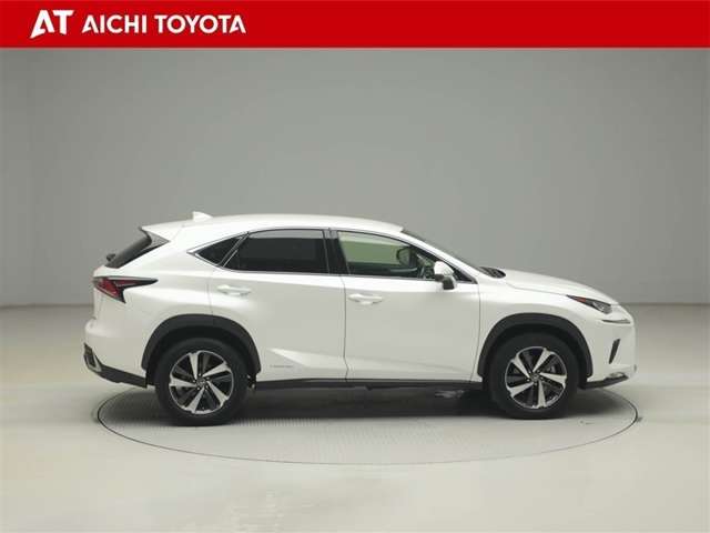 Lexus NX 7