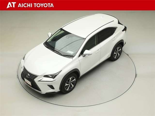 Lexus NX 10