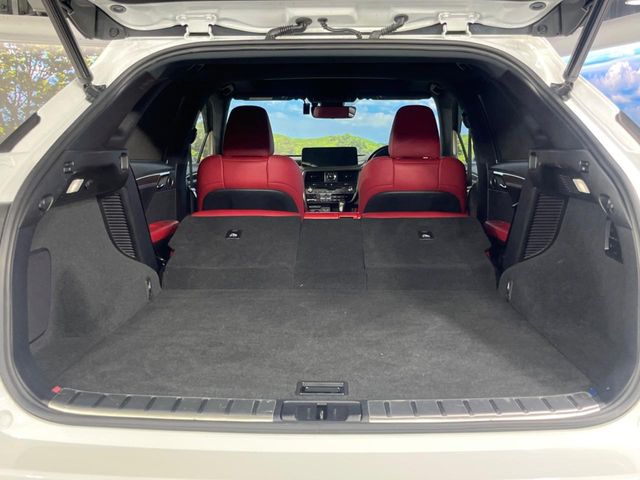 Lexus RX 11