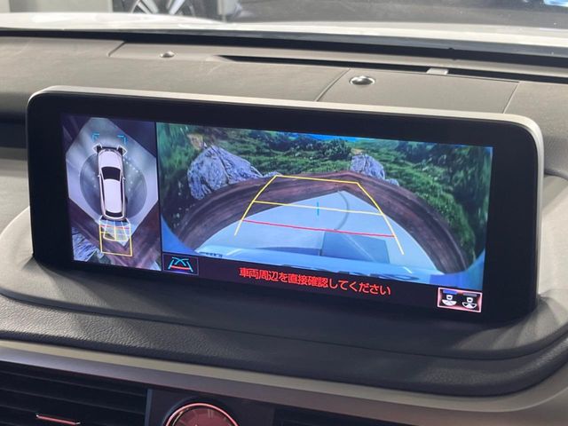 Lexus RX 6