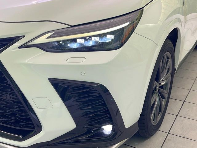Lexus NX 12
