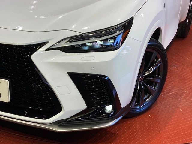 Lexus NX 12