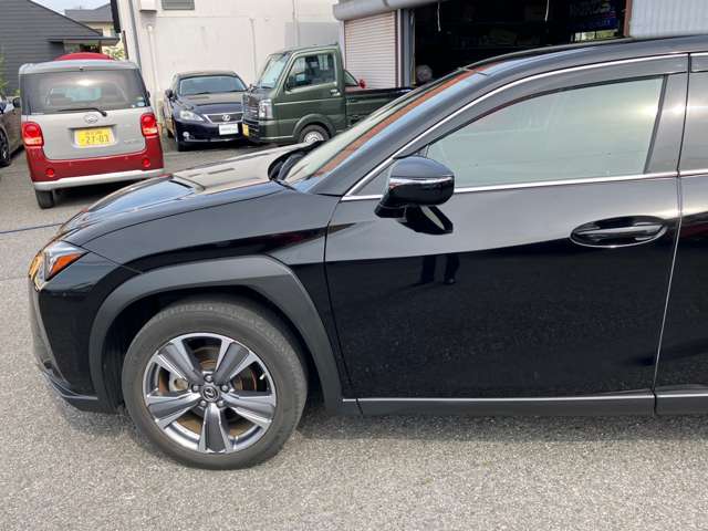 Lexus UX300e 12