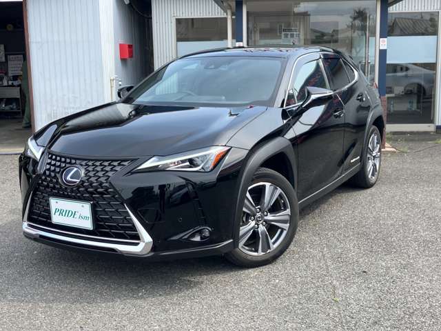 Lexus UX300e 2