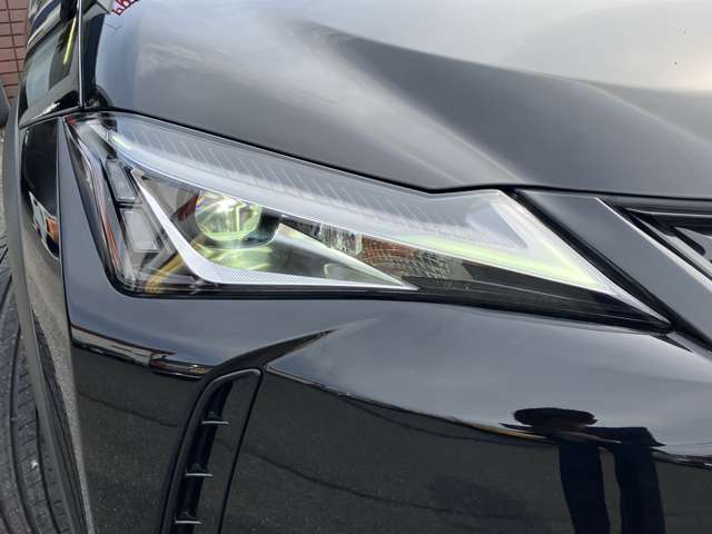 Lexus UX300e 4