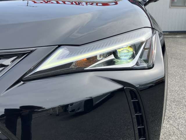 Lexus UX300e 5