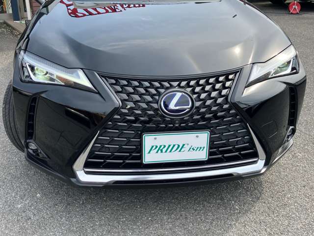 Lexus UX300e 8