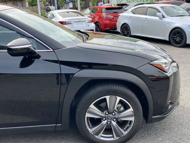 Lexus UX300e 9