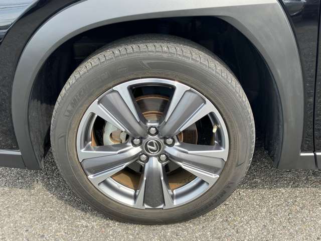 Lexus UX300e 10