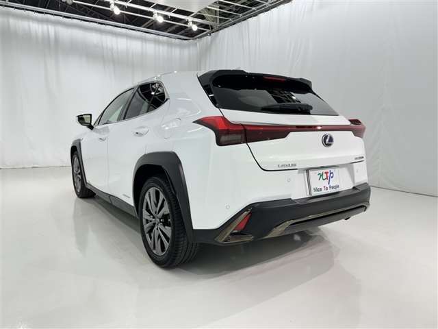 Lexus UX 6