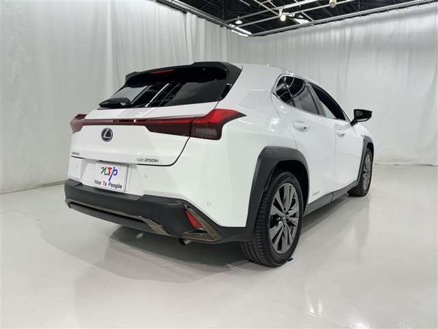 Lexus UX 7
