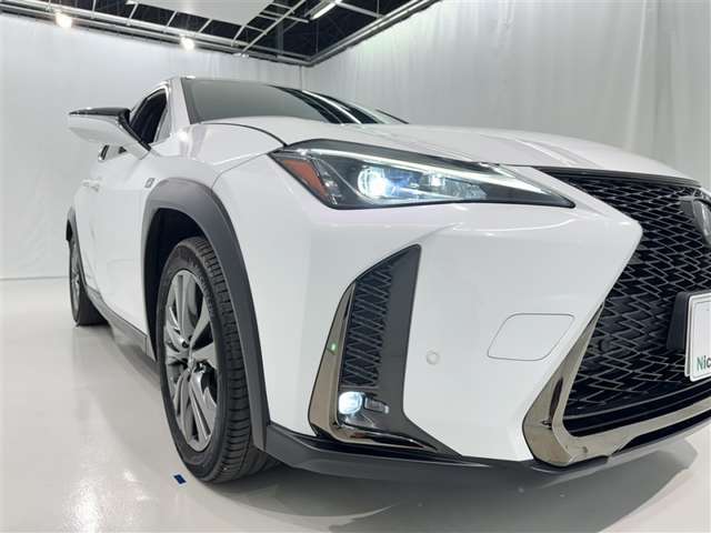 Lexus UX 8