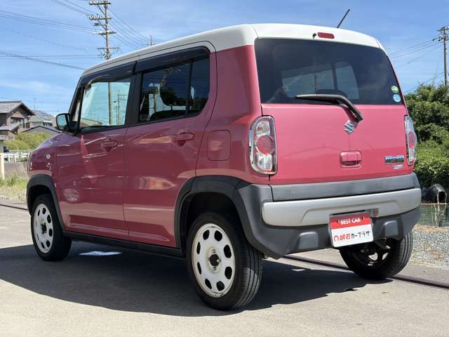 Suzuki Hustler 11