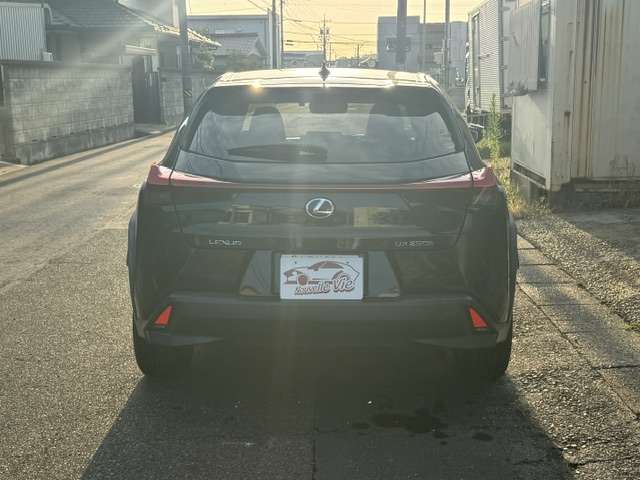 Lexus UX 6