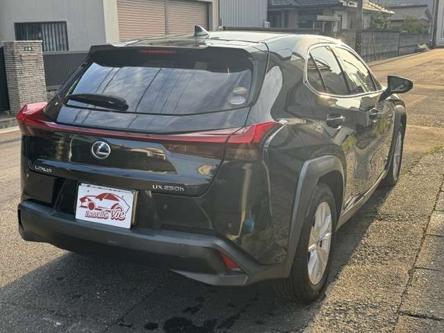 Lexus UX 7