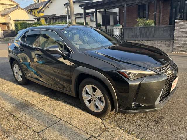 Lexus UX 9