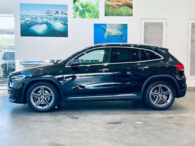 Mercedes-Benz GLA-Class 11