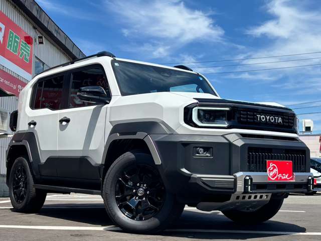 Toyota Land Cruiser FJ 3