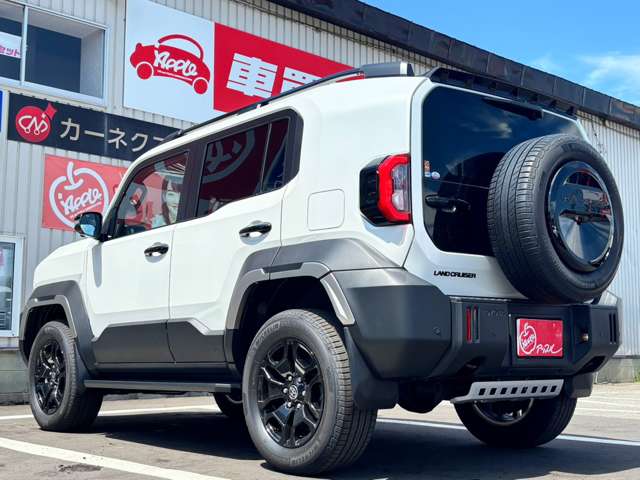 Toyota Land Cruiser FJ 6