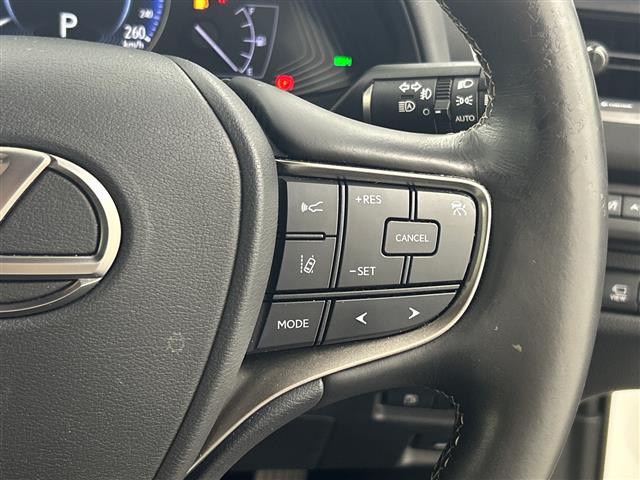 Lexus UX 11
