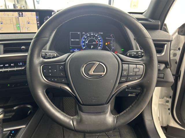 Lexus UX 9