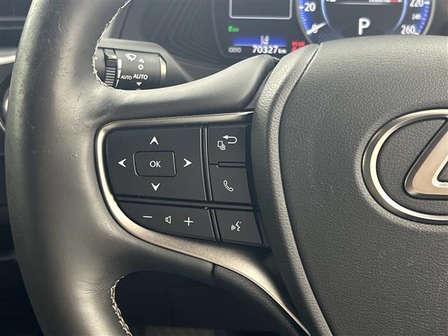 Lexus UX 10