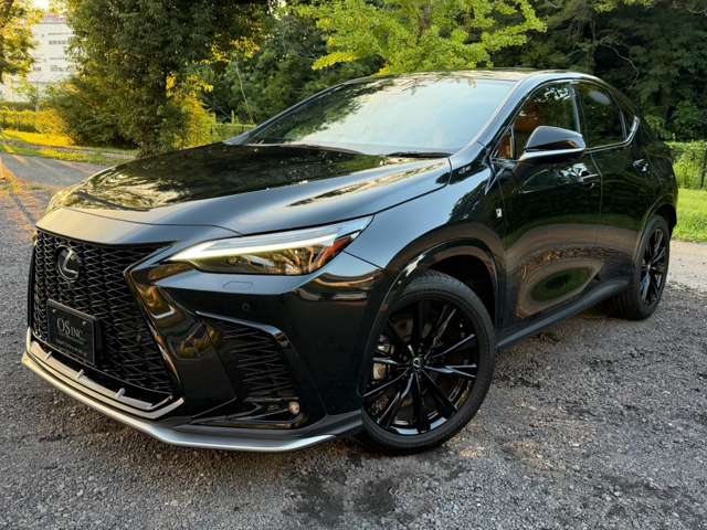 Lexus NX 9