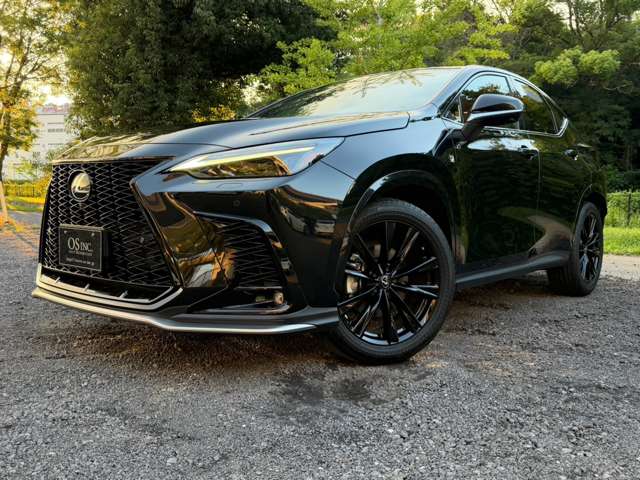 Lexus NX 10