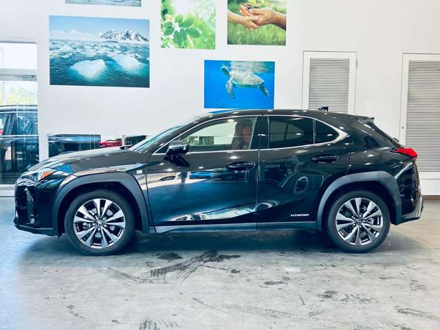 Lexus UX 11