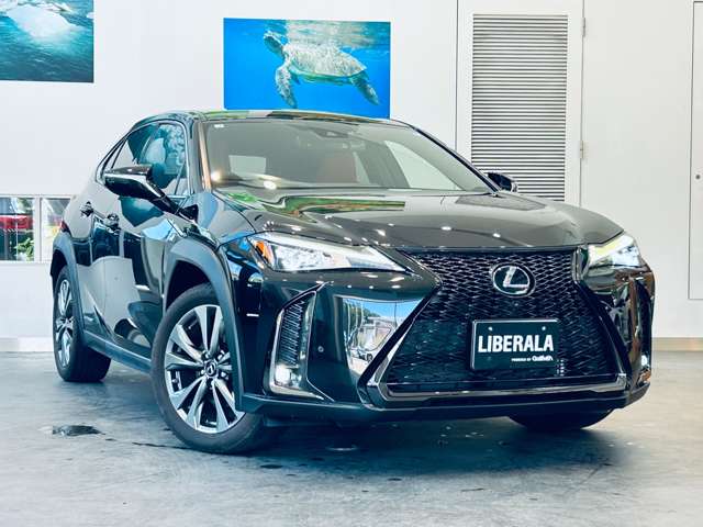Lexus UX 6