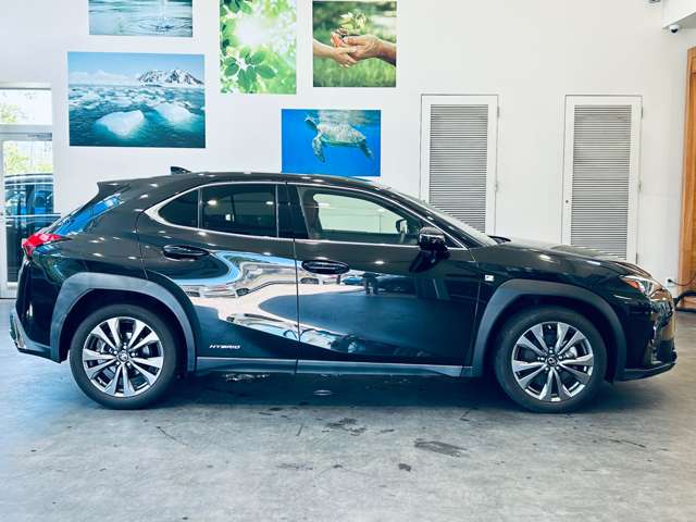Lexus UX 8